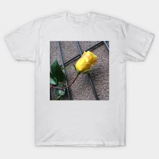 Yellow Rose On The Wall T-Shirt